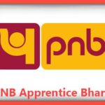 PNB Apprentice Bharti