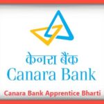 Canara Bank Apprentice Bharti